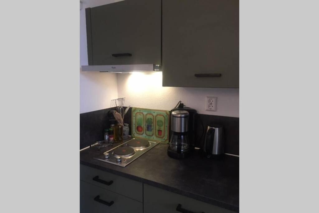 Tiny House Holland Villa Oudesluis  Esterno foto