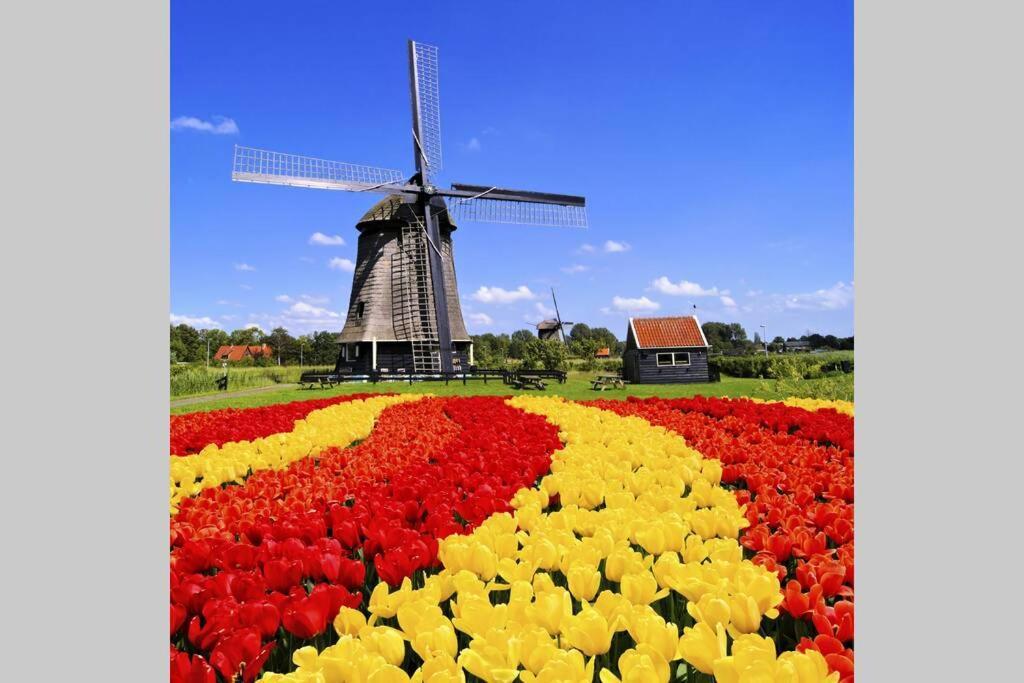 Tiny House Holland Villa Oudesluis  Esterno foto