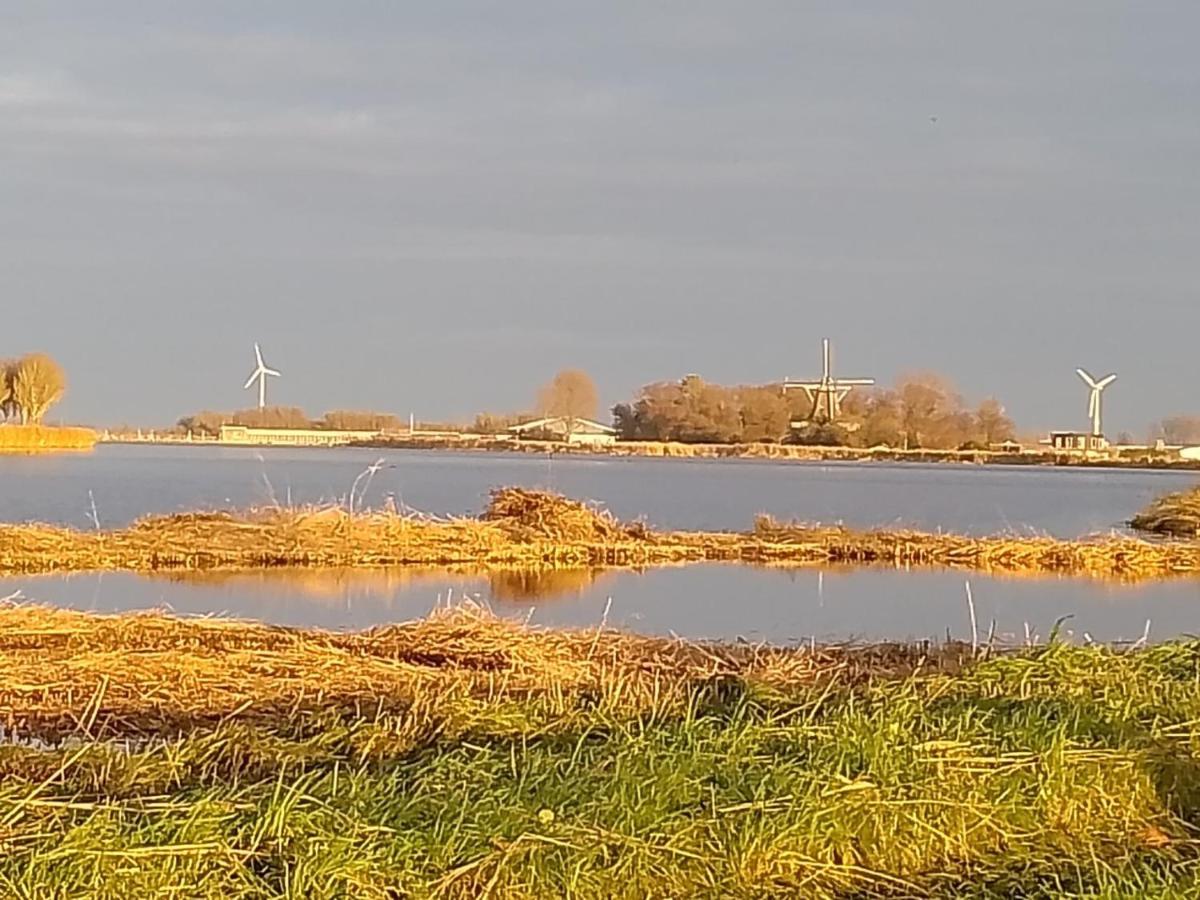 Tiny House Holland Villa Oudesluis  Esterno foto